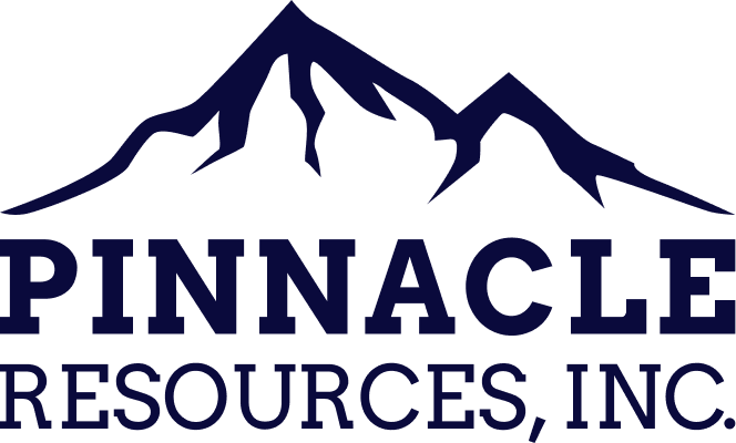 Logo Blue