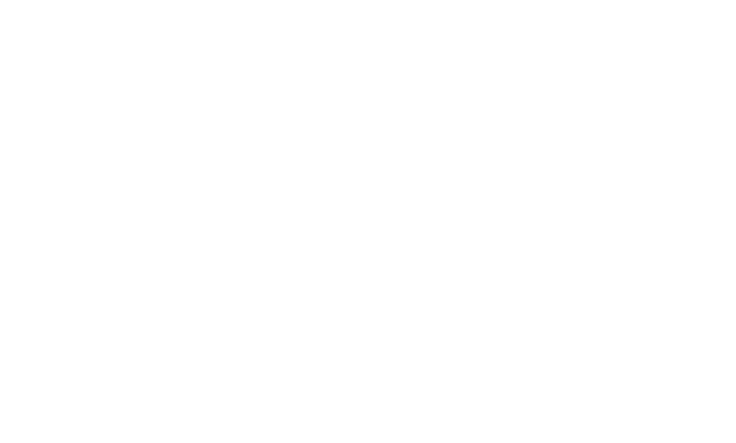 Logo White